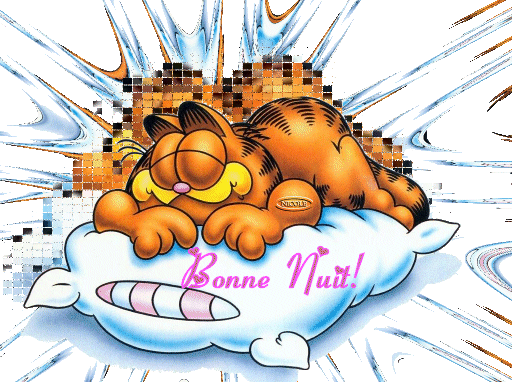 bonne nuit