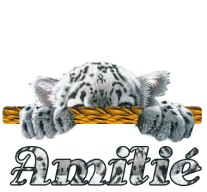 AMITIE